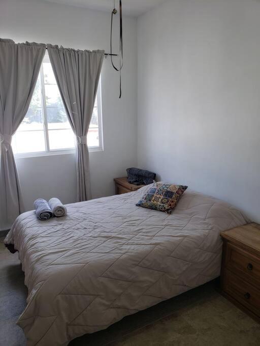 Petit Y Comodo Loft En La Ciudad. Monterrey Esterno foto